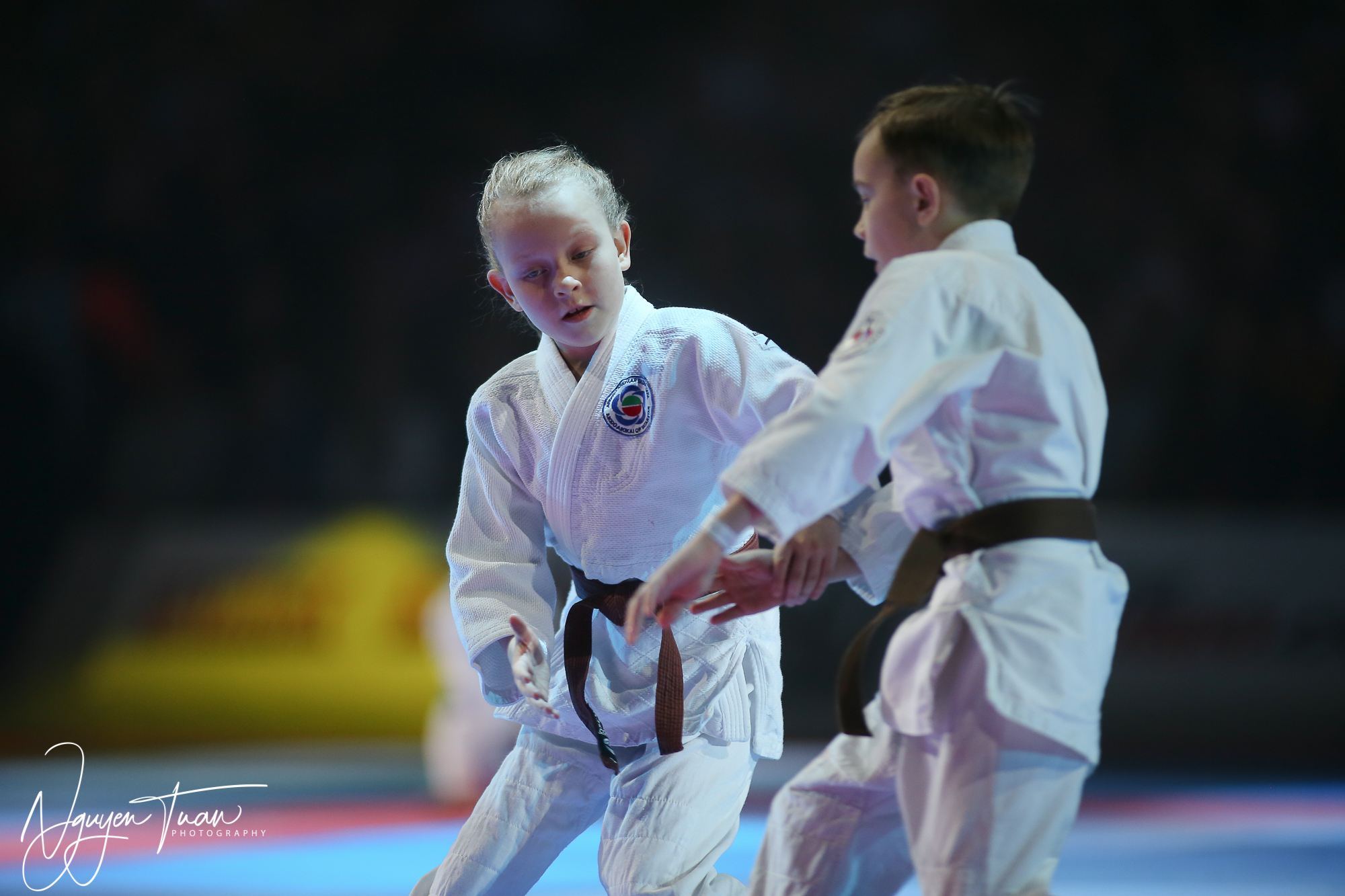 20190324 Festival des Arts Martiaux 3651